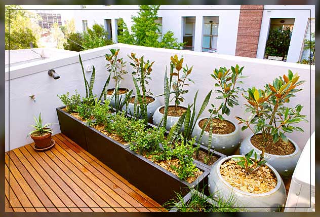 plant types