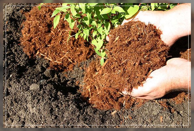 adding soil amendments