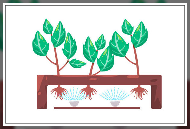 Aeroponic farming 2