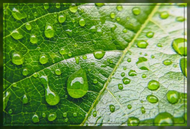 Carbon dioxide 3