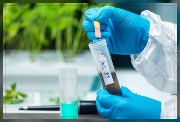 testing acidic soil