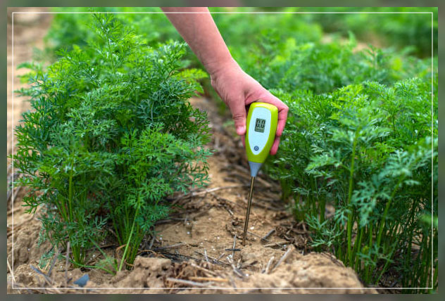 acidic soil causes