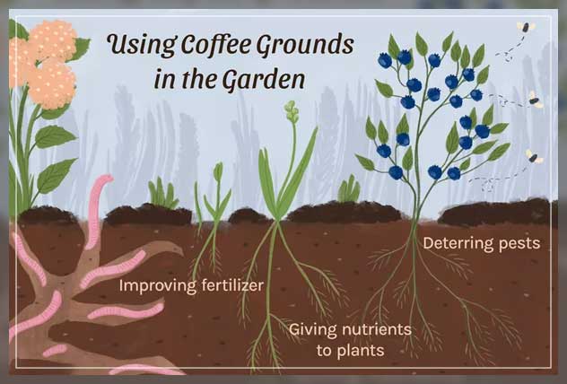composting is benefitting
