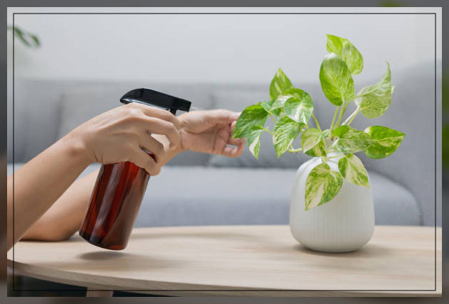 golden pothos care