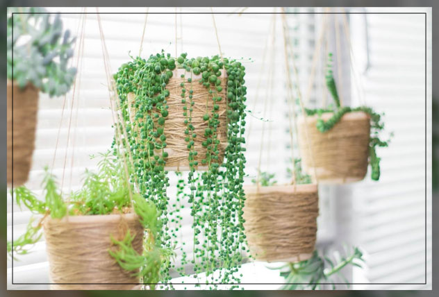 indoor planters