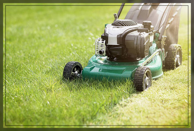 lawn mower