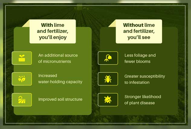 garden lime benefits