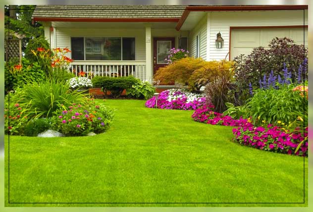 designing soft landscape works