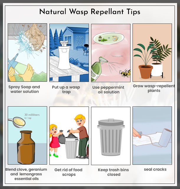 wasp repellent 2