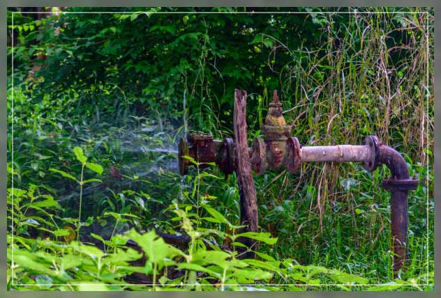 Manual irrigation 5