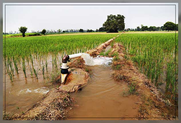 Water irrigation 5