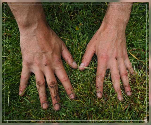 crabgrass
