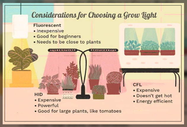 factors to consdier