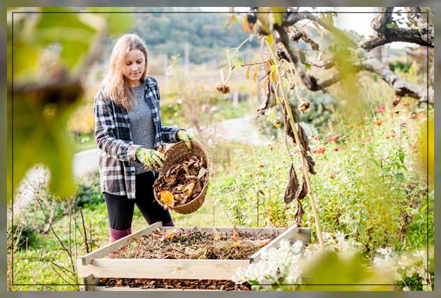 fall garden cleanup