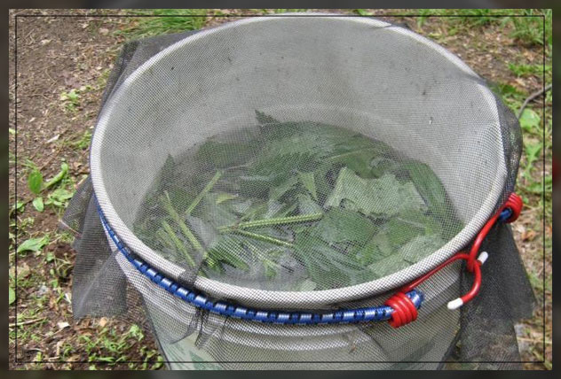 using winter fertilizers