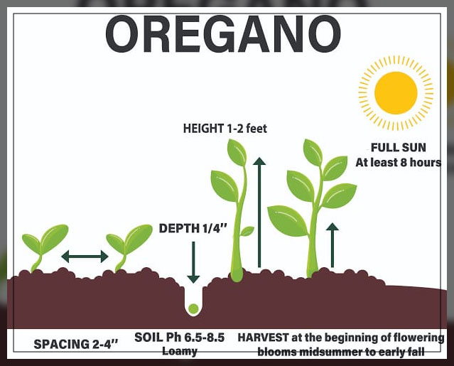 growth