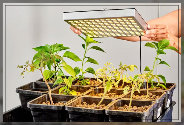 hydroponic lighting use