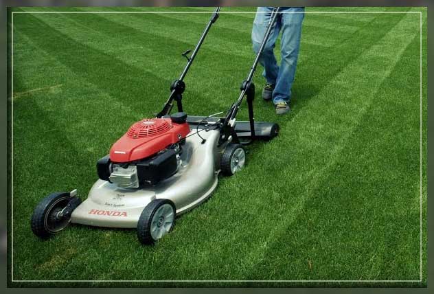 lawn striping mower
