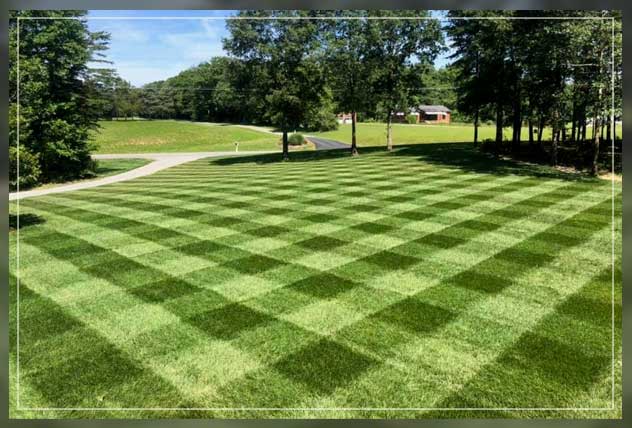 light and dark green square pattern lawn striping