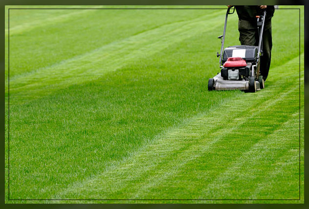 man mowing lawn in straight lane