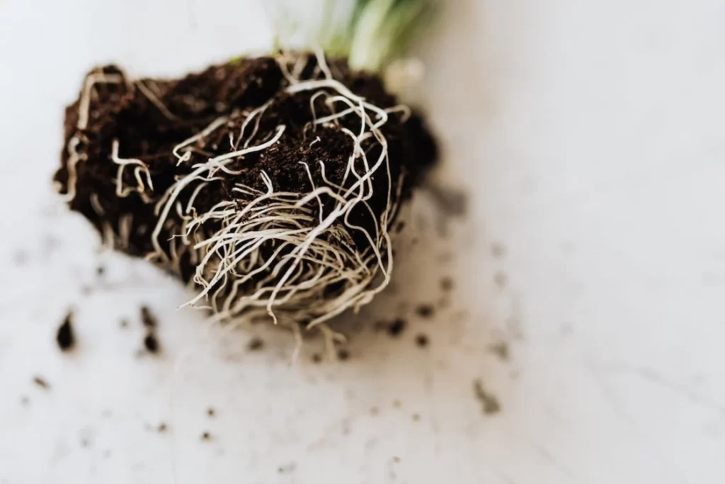 how it supplements the soil
