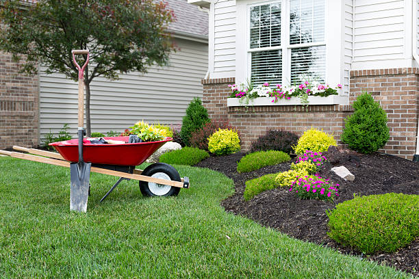 Landscape irrigation 1