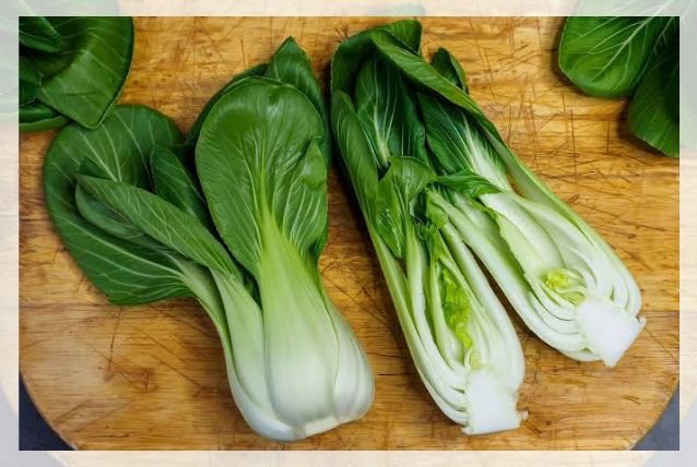 napa cabbage 1