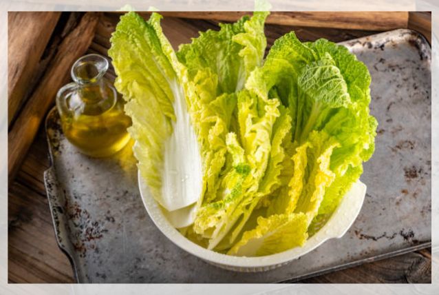 Napa Cabbage Planting and Growth