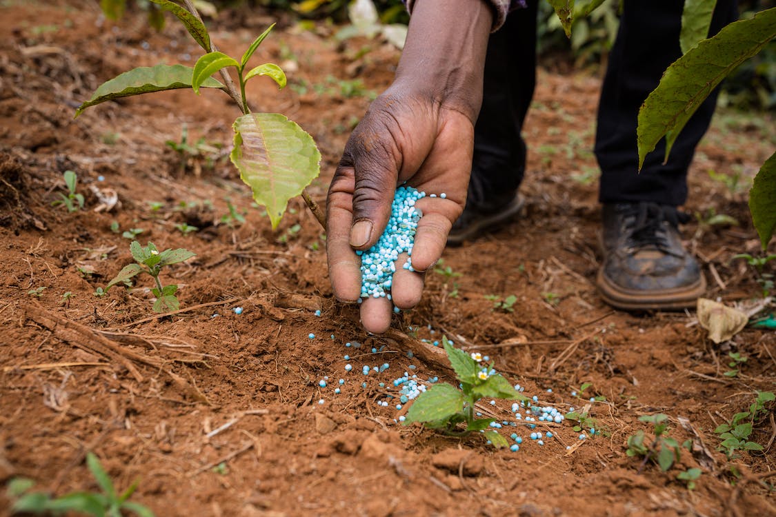 how mineral fertilizers work
