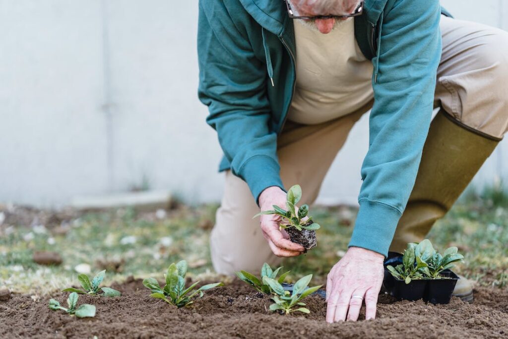 how the soil gets most from mineral fertilizer 