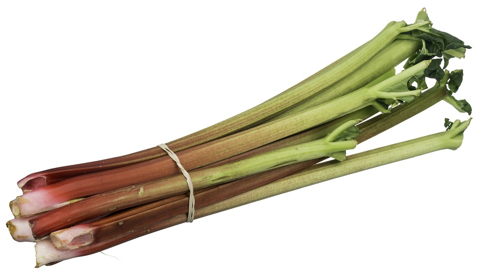 how rhubarbs are used 