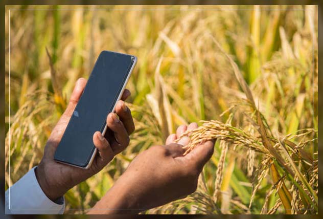 Agriculture innovation examples 2