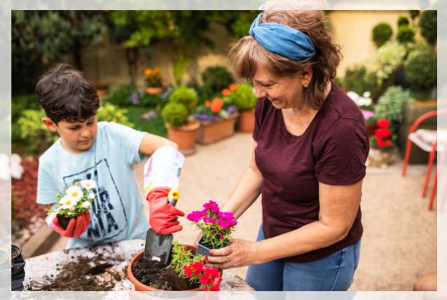 caring for the plant 