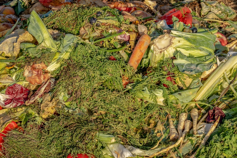 making use of organic material