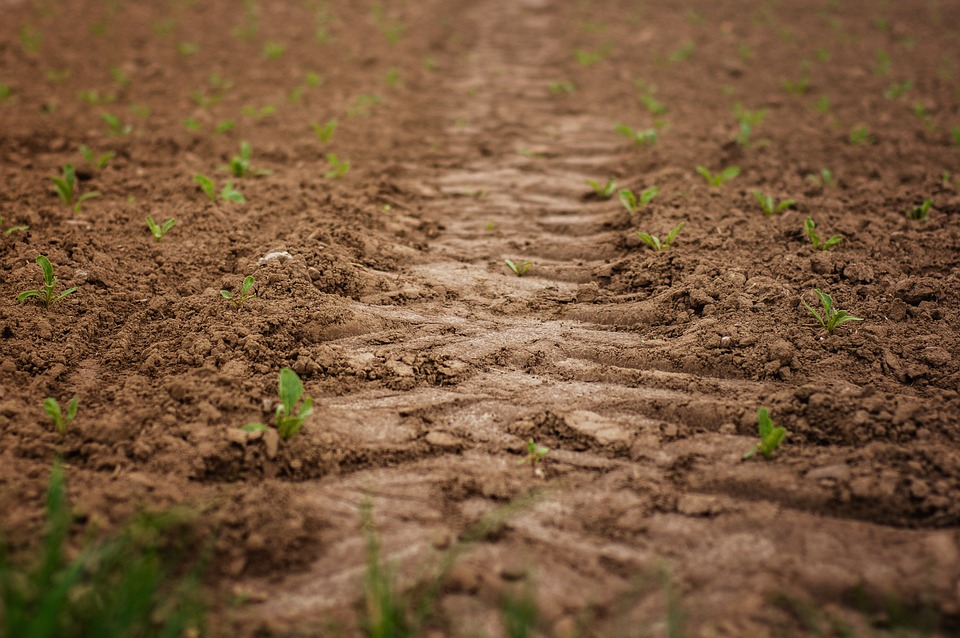 why sowing works better 