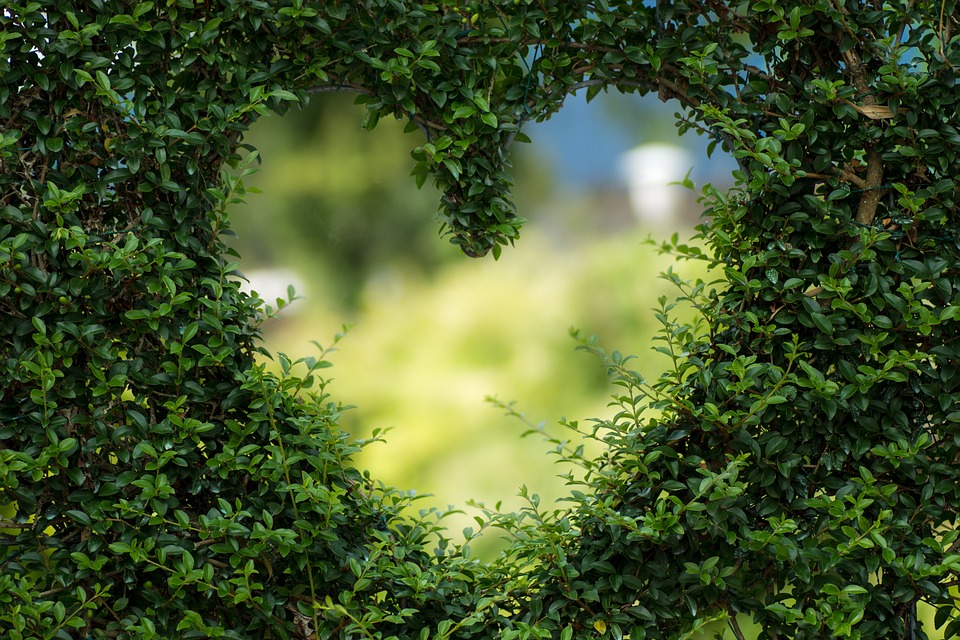 create a meditation garden