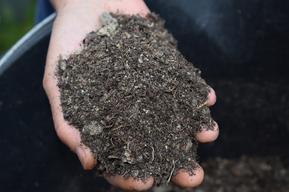 getting the best from mulching