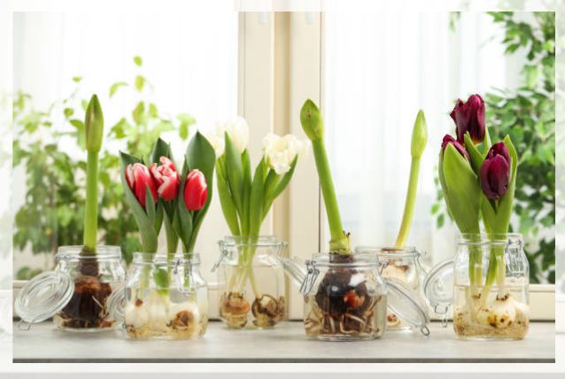propagation