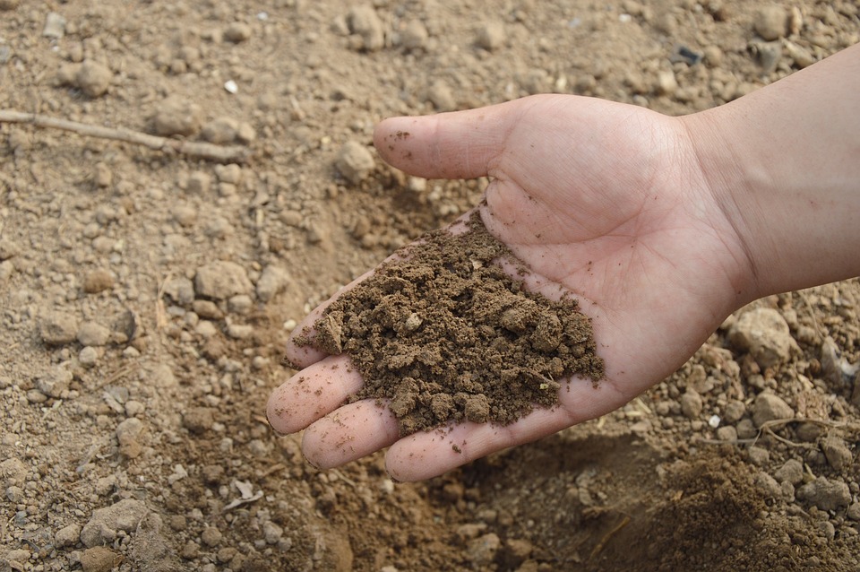 soluble chelates for plants