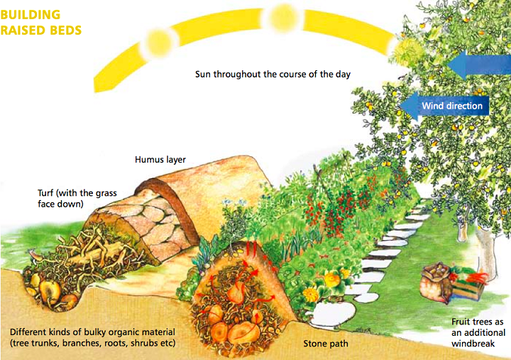 understanding how raised beds work 