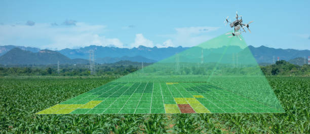 Image processing 4