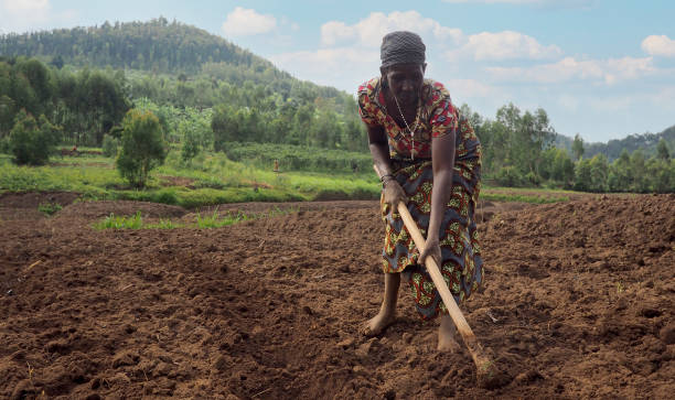 Subsistence farming 2