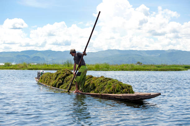 Subsistence farming 4