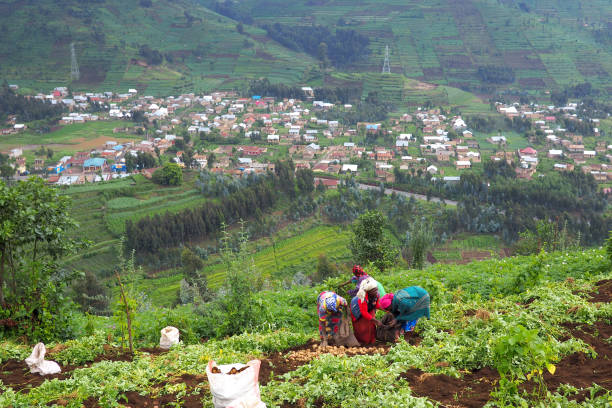 Subsistence farming 6