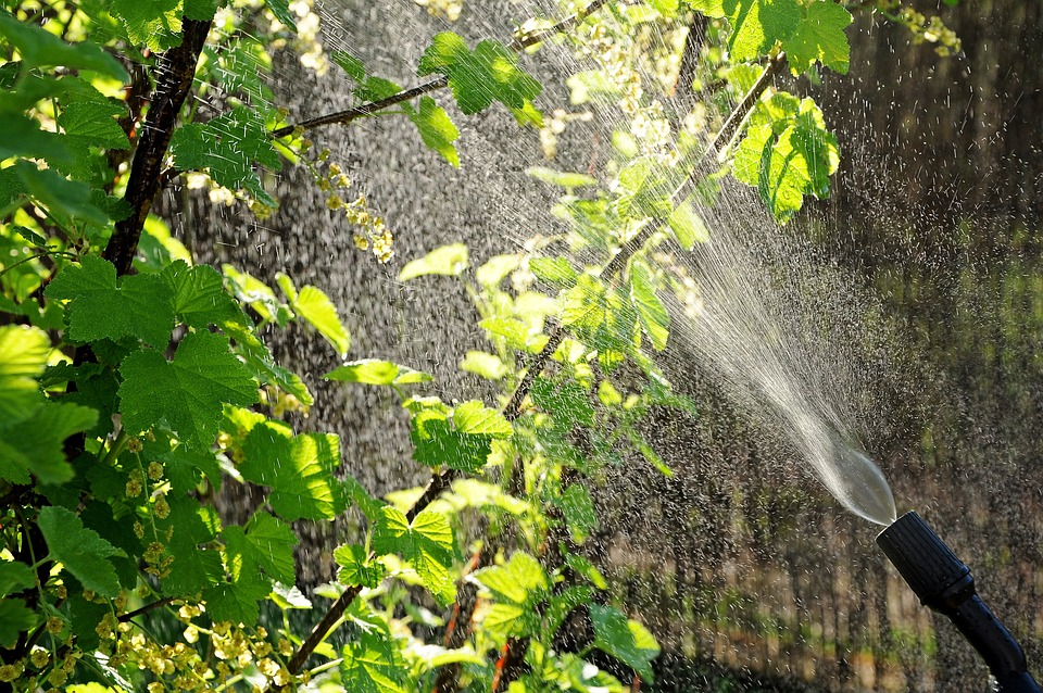 the results from the use of foliar sprays 
