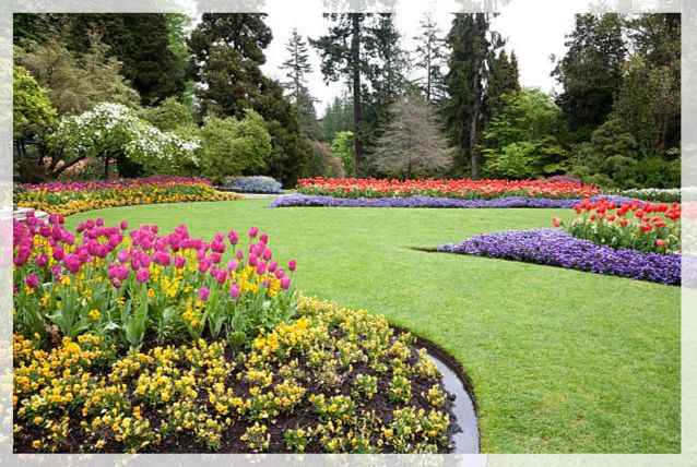 flower border 1