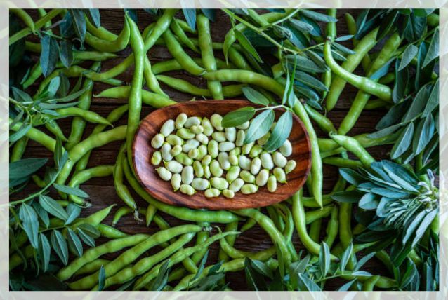 lima beans