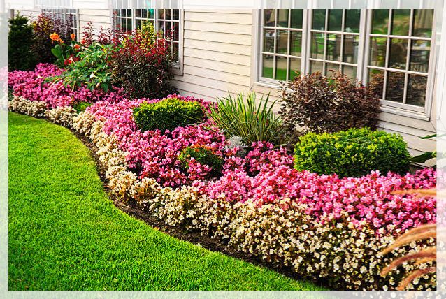 raised beds