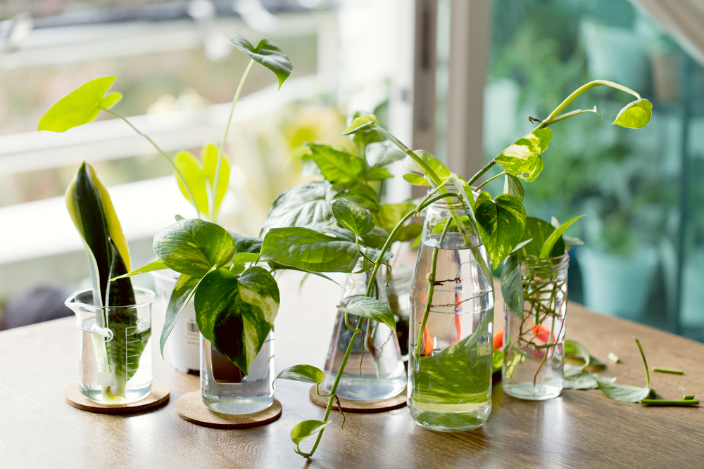 using propagation for solid results