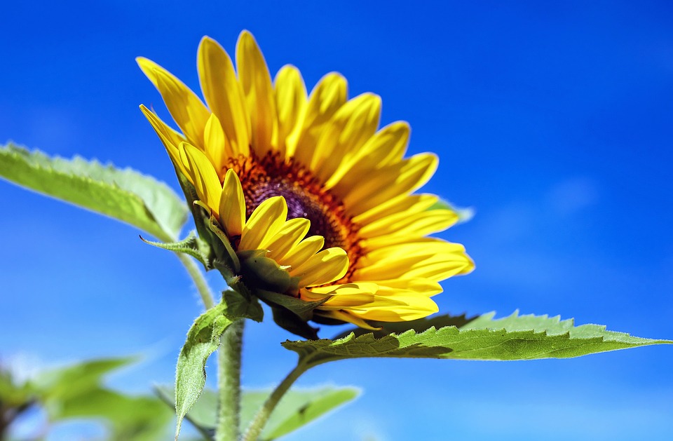 how to adapt propagation methods